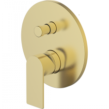 Vitruvius Tiber Single lever concealed bath/shower mixer with concealed box Brushed Gold